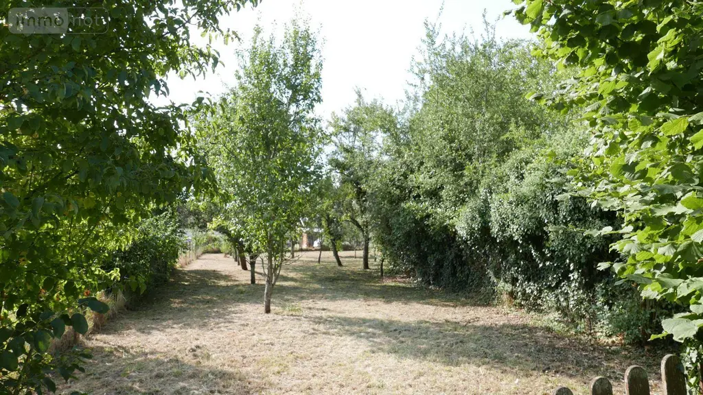 Terrain a batir a vendre Sery 08270 Ardennes 08 26000 euros 08018-TEBA-2013 002