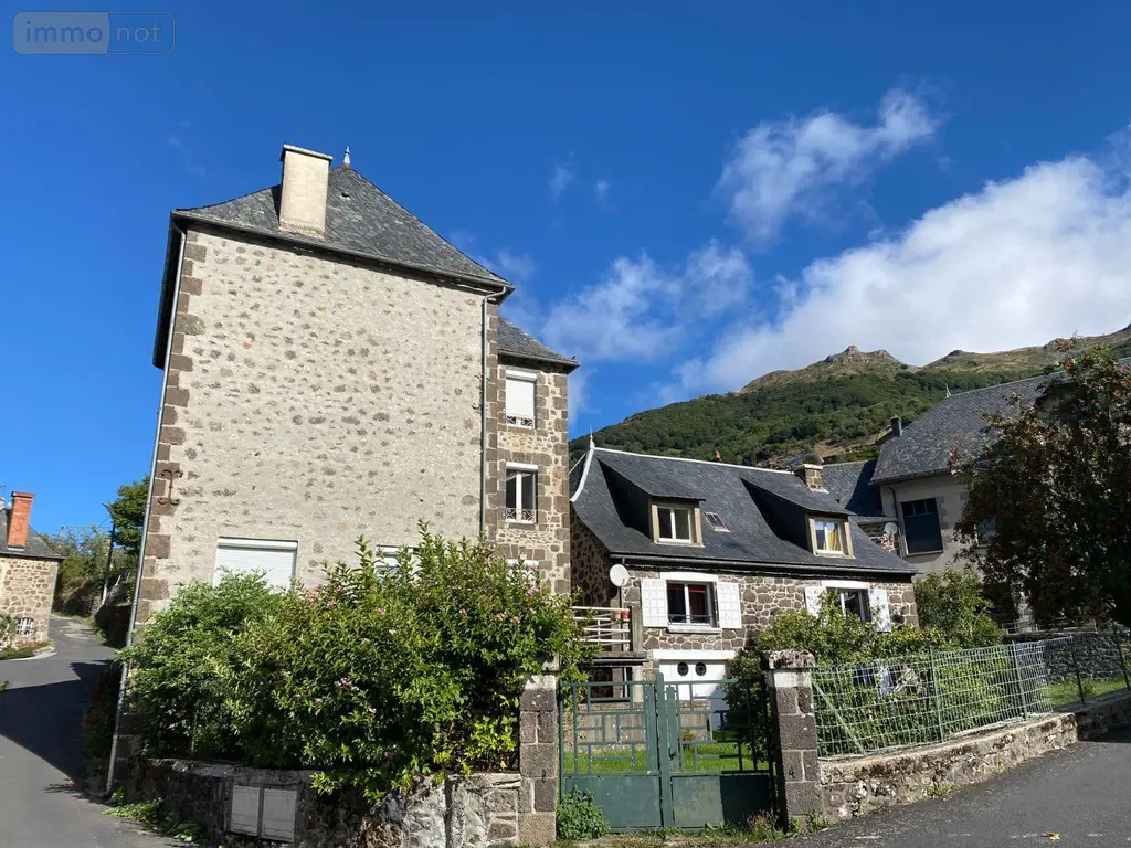 Appartement a vendre Le Falgoux 15380 Cantal 15 25 m2 2 pièces 34900 euros 15060/1030 004