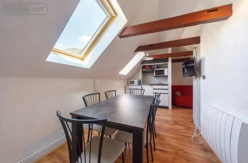 Appartement a vendre Le Falgoux 15380 Cantal 15 25 m2 2 pièces 34900 euros 15060/1030 003