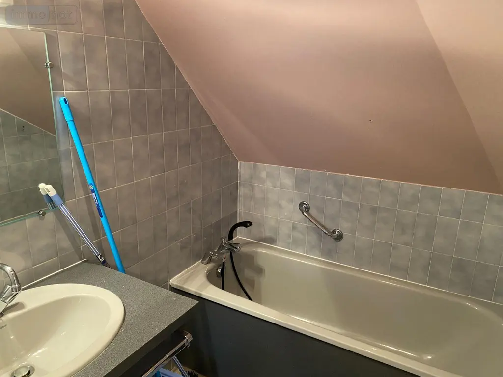 Appartement a vendre Le Falgoux 15380 Cantal 15 25 m2 2 pièces 34900 euros 15060/1030 009