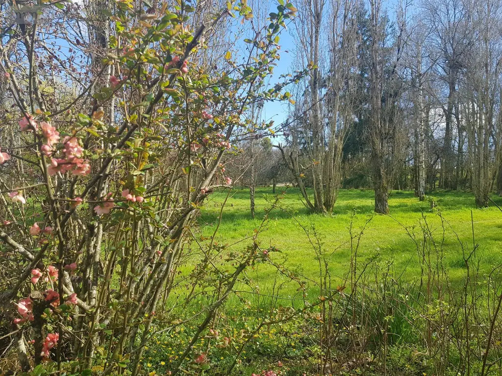 Propriete a vendre Maray 41320 Loir-et-Cher 41 140 m2 6 pièces 168640 euros 41036/2559 011