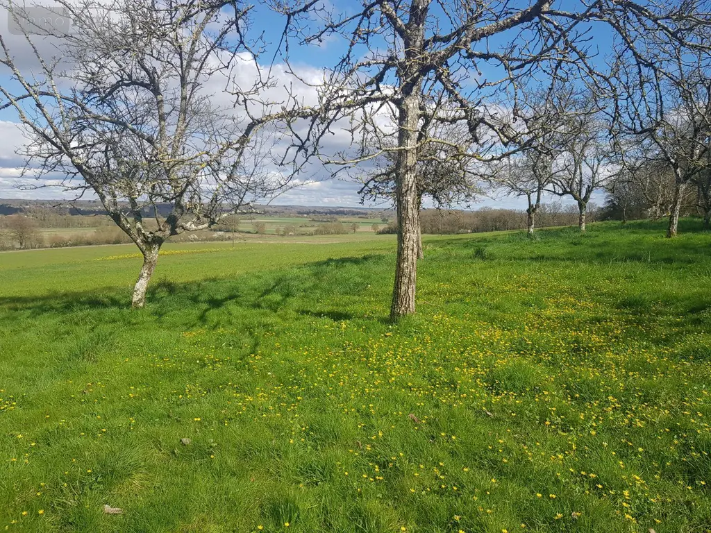 Propriete a vendre Maray 41320 Loir-et-Cher 41 140 m2 6 pièces 168640 euros 41036/2559 013
