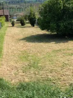Terrain a batir a vendre Chavonne 02370 Aisne 02 28000 euros 02072/85 002