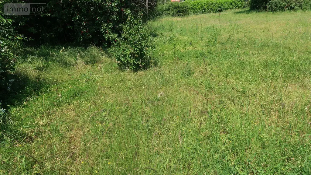 Terrain a batir a vendre Thuré 86540 Vienne 86 400 m2 30000 euros 86024-TEBA2180 004