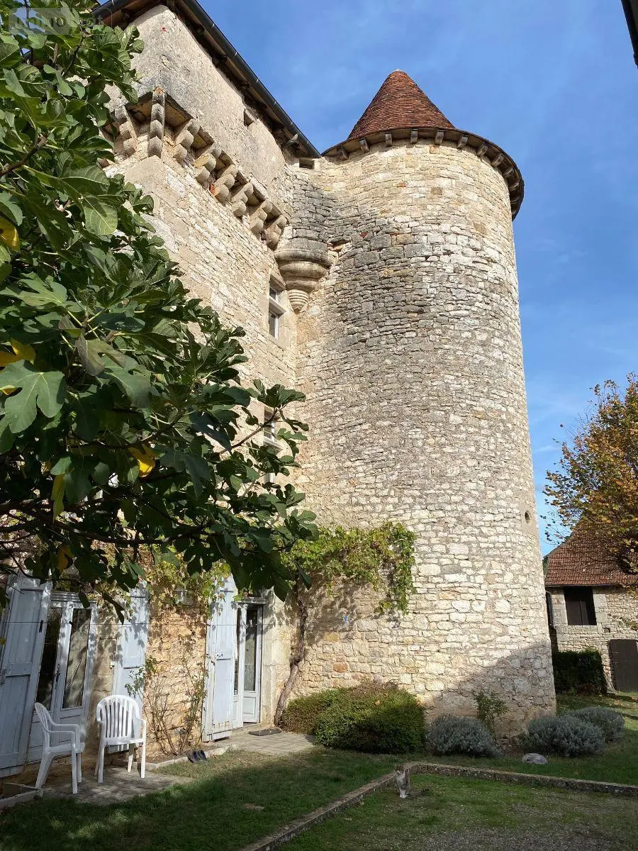 Maison a vendre Cajarc 46160 Lot 46 340 m2 10 pièces 832400 euros CA/596 009
