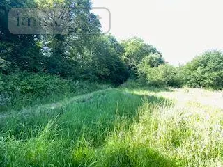 Maison a vendre Vimartin-sur-Orthe 53160 Mayenne 53 64 m2 4 pièces 177870 euros 53047-950 018