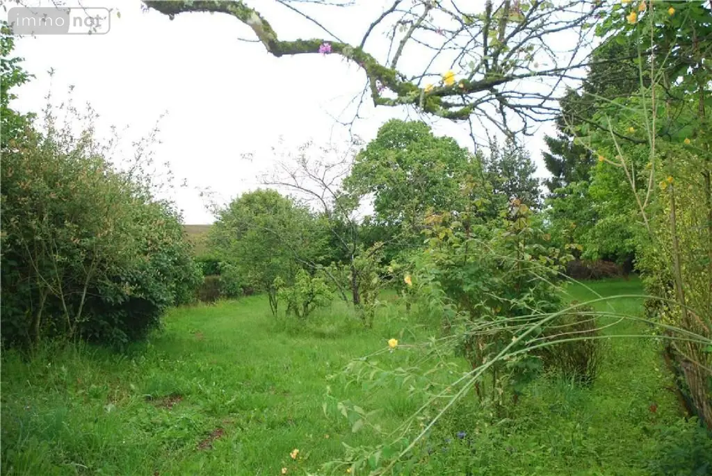 Maison a vendre Vimartin-sur-Orthe 53160 Mayenne 53 64 m2 4 pièces 177870 euros 53047-950 008