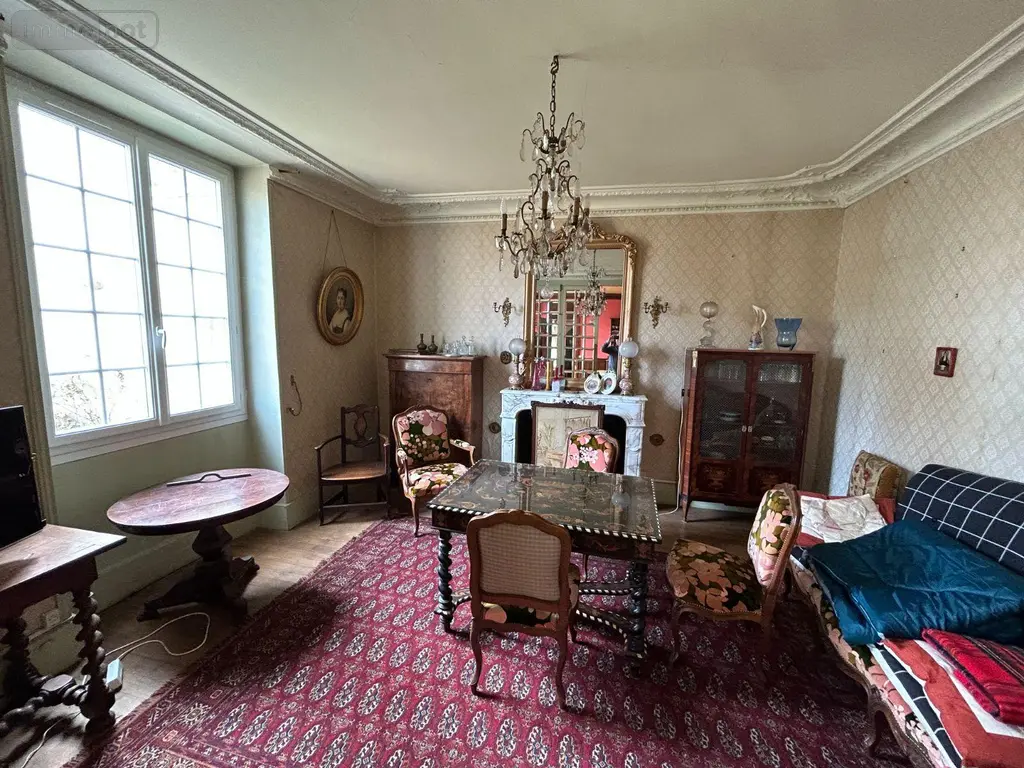 Maison a vendre Avaray 41500 Loir-et-Cher 41 260 m2 8 pièces 364500 euros 41022/1214 009