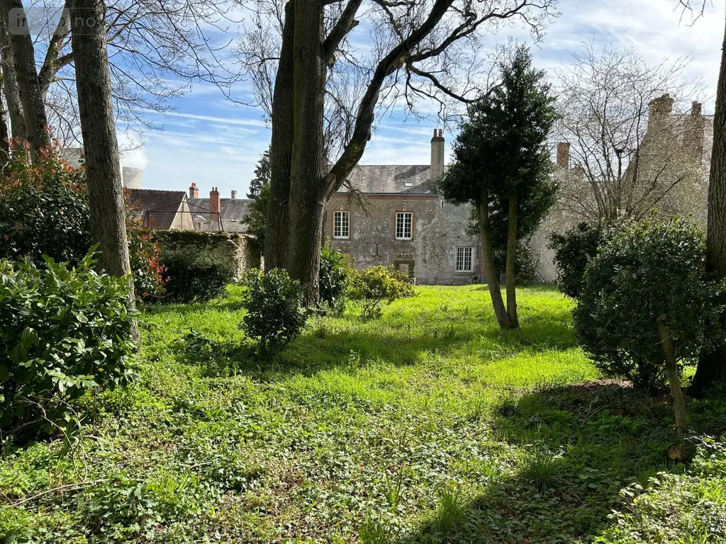 Maison a vendre Avaray 41500 Loir-et-Cher 41 260 m2 8 pièces 364500 euros 41022/1214 004