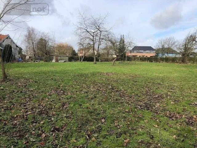 Terrain a batir a vendre Nuncq-Hautecôte 62270 Pas-de-Calais 62 38304 euros 2198 003