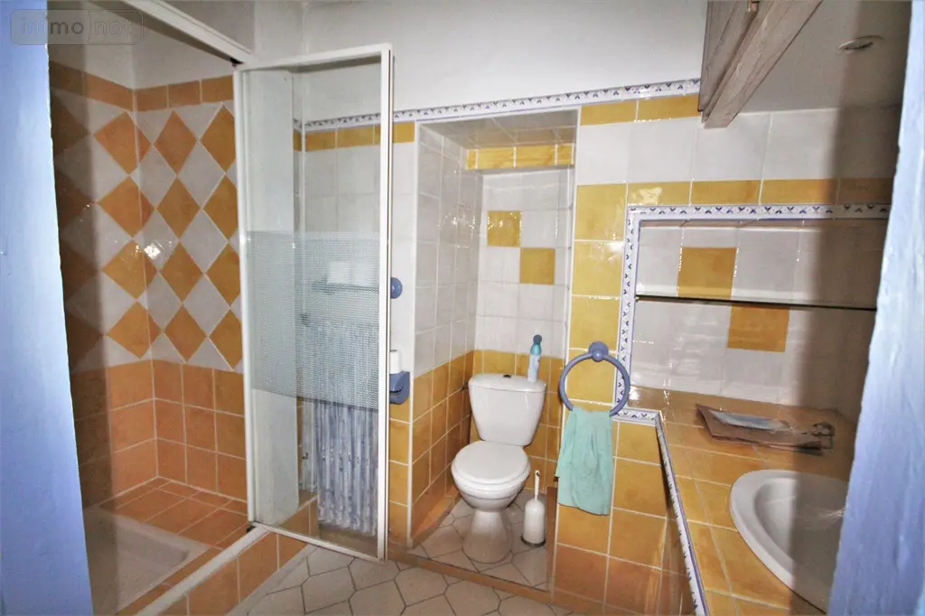 Immeuble de rapport a vendre Villefranche-de-Rouergue 12200 Aveyron 12 200 m2 6 pièces 148000 euros 3143 011