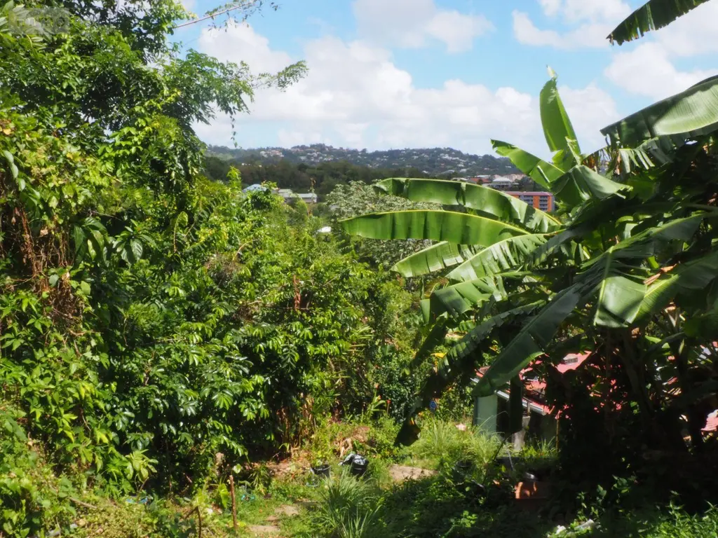 Maison a vendre Le Robert 97231 Martinique 972 35 m2 3 pièces 192500 euros 79 005