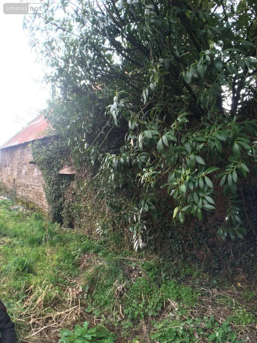 Maison a vendre Montanel 50240 Manche 50 150 m2 2 pièces 25000 euros 12541/1963 004