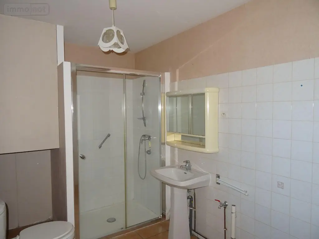 Maison a vendre Le Tranger 36700 Indre 36 100 m2 4 pièces 74200 euros 36019/782 009
