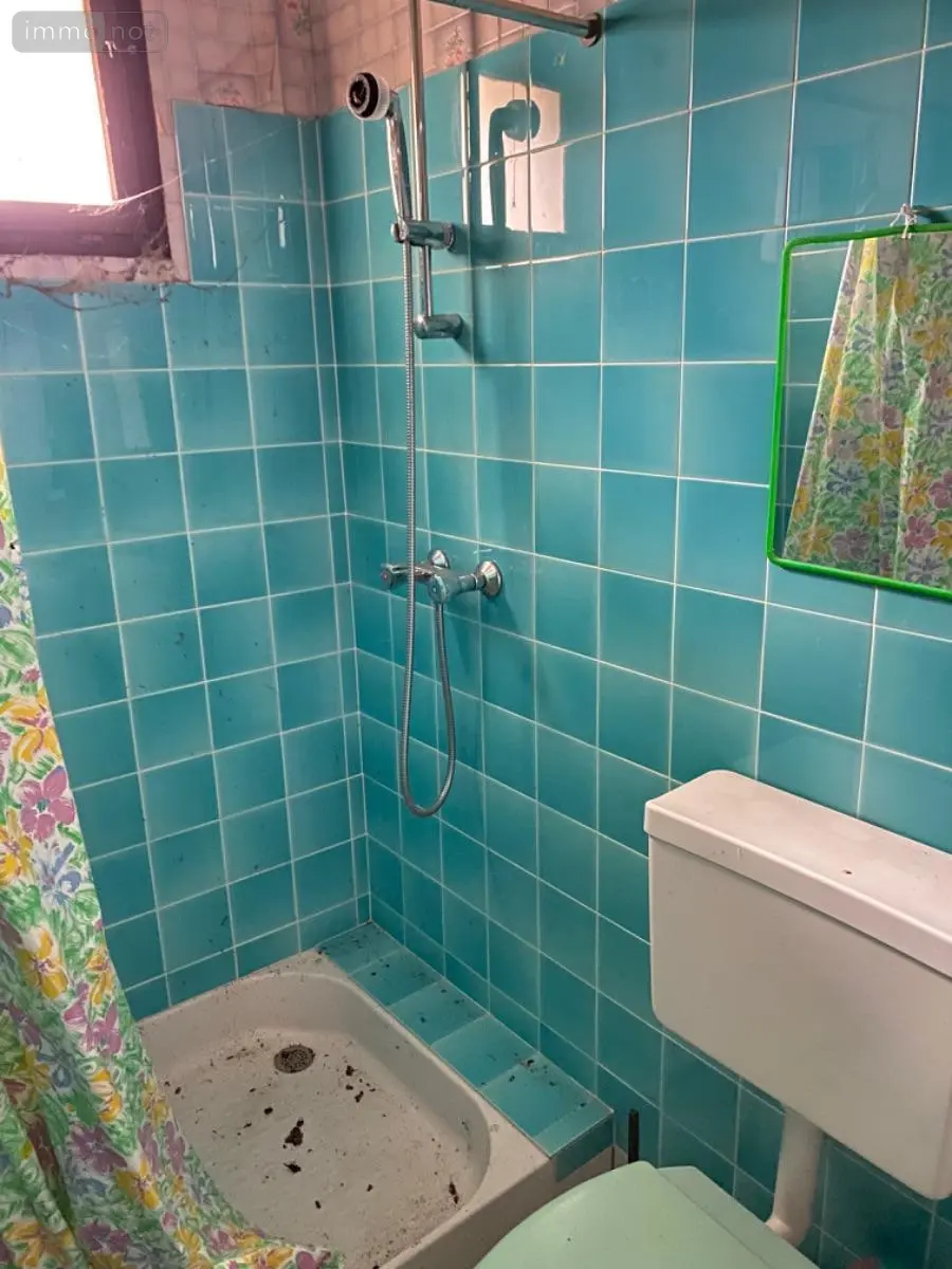 Maison a vendre Saulnay 36290 Indre 36 72 m2 4 pièces 51700 euros 1041861 / 1 007