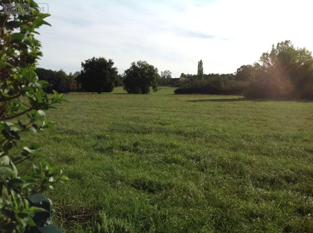 Terrain a batir a vendre Bélâbre 36370 Indre 36 3000 m2 16560 euros 037/2244 003