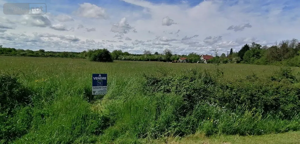 Terrain a batir a vendre Bélâbre 36370 Indre 36 3000 m2 16560 euros 037/2244 006