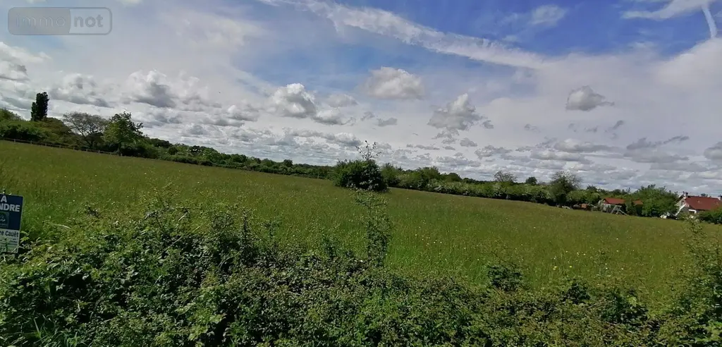 Terrain a batir a vendre Bélâbre 36370 Indre 36 3000 m2 16560 euros 037/2244 004