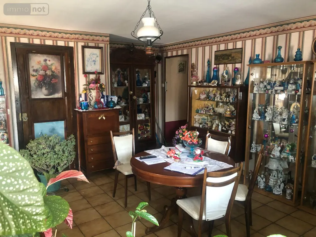 Viager maison Reuilly 36260 Indre 36 106 m2 6 pièces 10000 euros 11813/1229 004