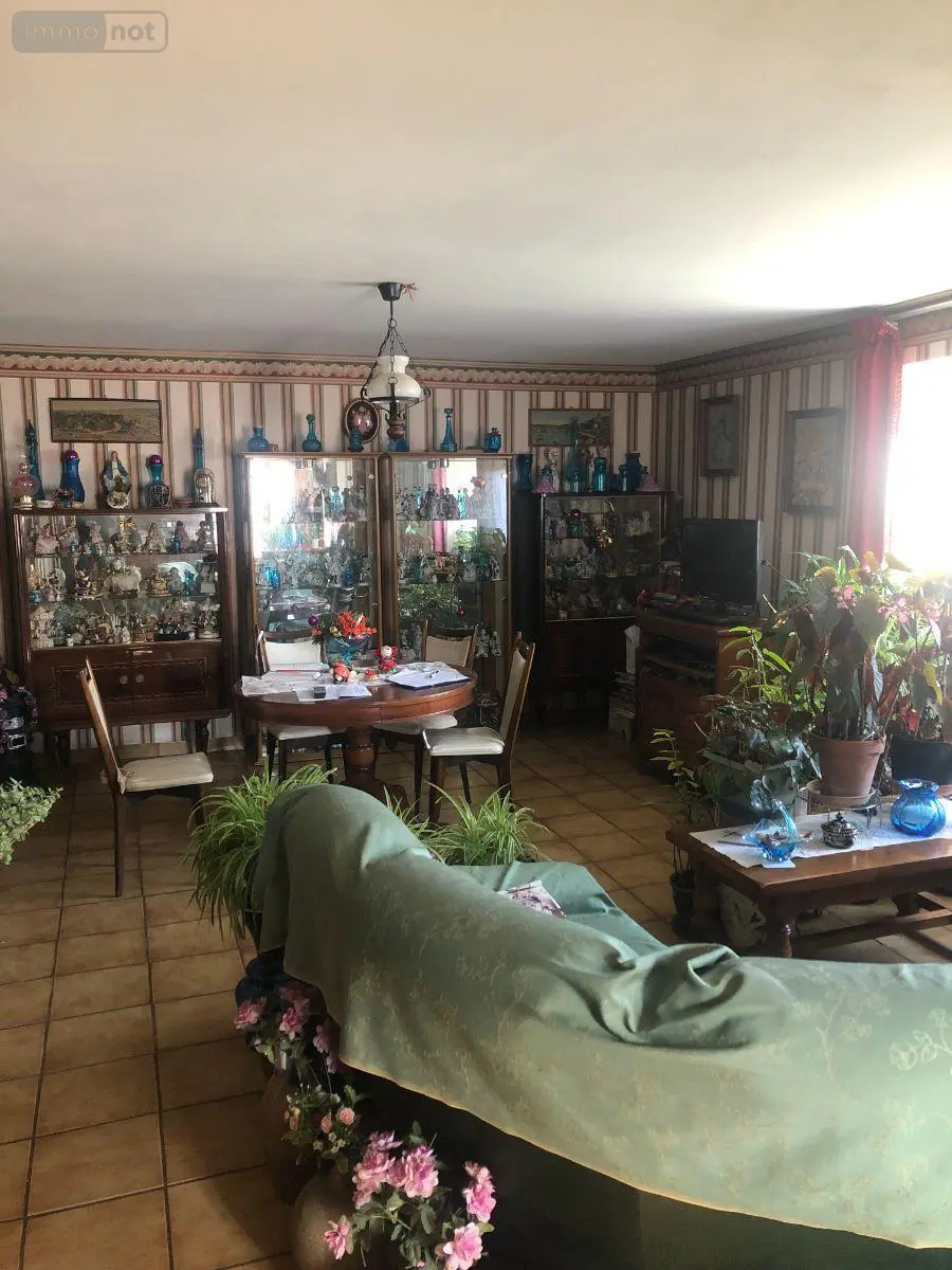 Viager maison Reuilly 36260 Indre 36 106 m2 6 pièces 10000 euros 11813/1229 005