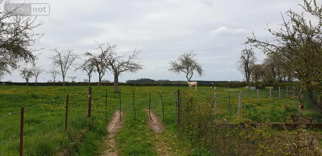 Terrain a batir a vendre Callengeville 76270 Seine-Maritime 76 250 m2 30740 euros 61 002
