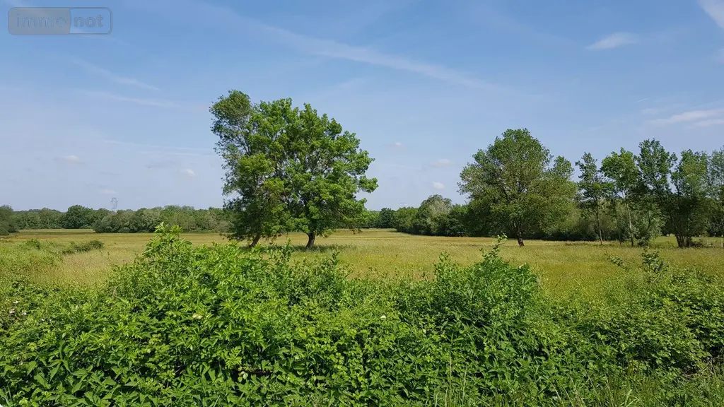 Terrain a batir a vendre La Chapelle-Montmartin 41320 Loir-et-Cher 41 4170 m2 35780 euros 41036/2671 002