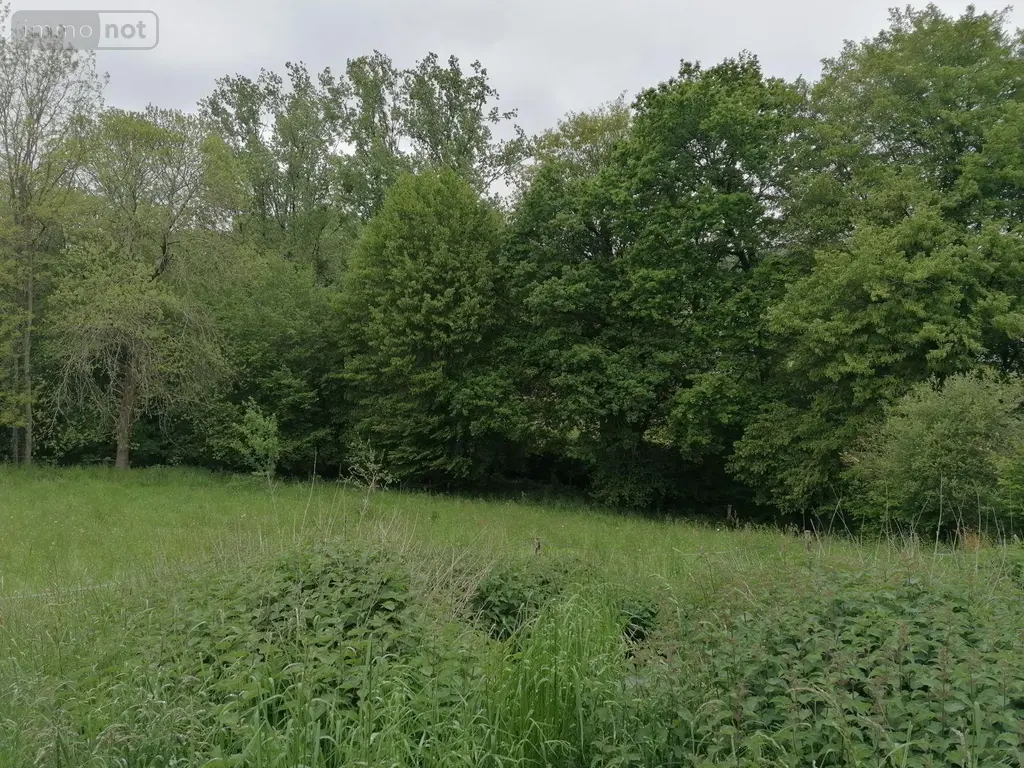 Terrain a batir a vendre Saint-Thurial 35310 Ille-et-Vilaine 35 2213 m2 56000 euros 35129-4427 002