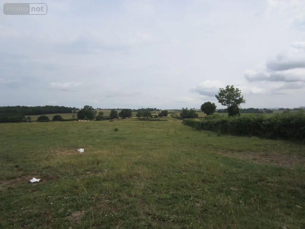 Bien agricole a vendre Saint-Pierre-de-Varennes 71670 Saône-et-Loire 71 42400 euros BA0423SP 006