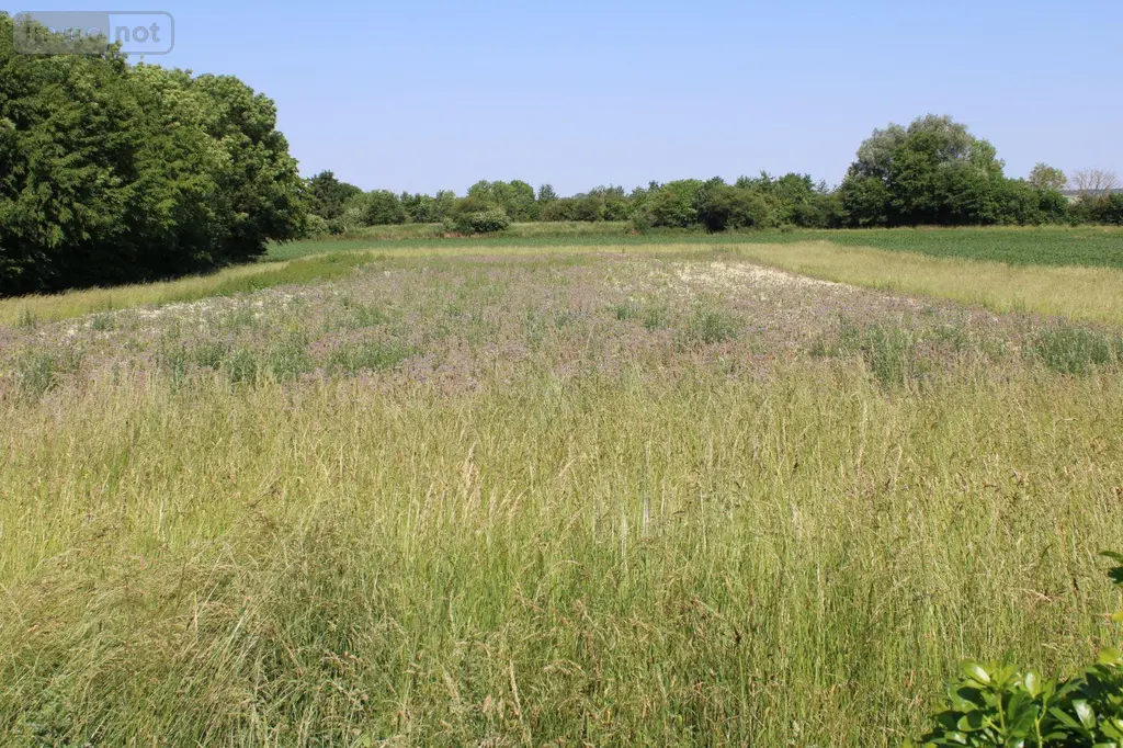 Terrain a batir a vendre Froidmont-Cohartille 02270 Aisne 02 46000 euros 02014/781 003