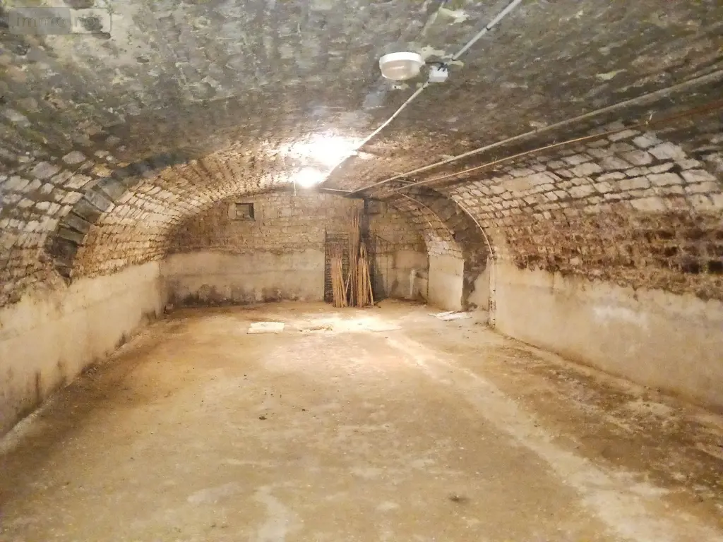 Maison a vendre Celles-sur-Ource 10110 Aube 10 110 m2 4 pièces 126000 euros 10063/1186 007