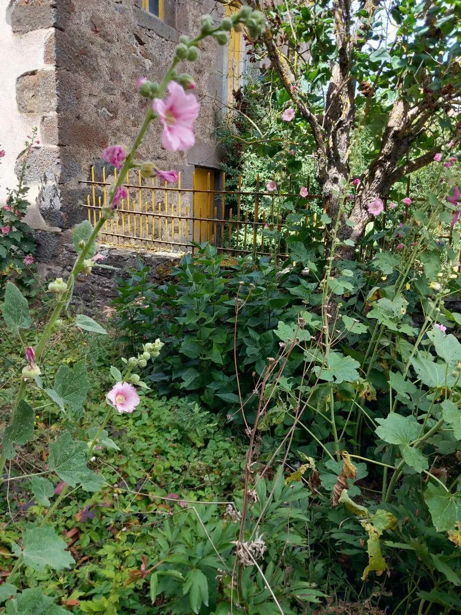 Maison a vendre Valuéjols 15300 Cantal 15 129 m2 6 pièces 69000 euros BM/2061 029