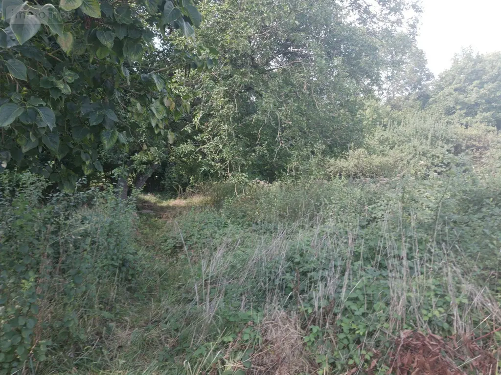 Terrains de loisirs bois etangs a vendre Bar-sur-Seine 10110 Aube 10 21300 euros 10063/1194 003