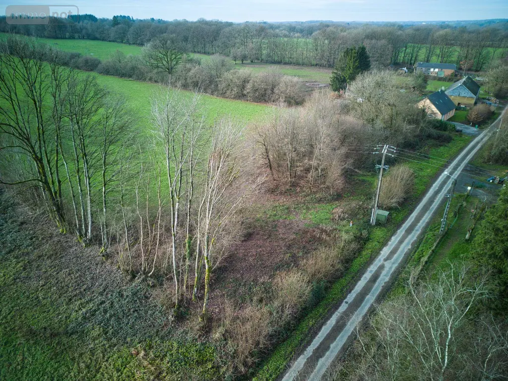 Terrain a batir a vendre Taillette 08230 Ardennes 08 62000 euros 08034/29 004
