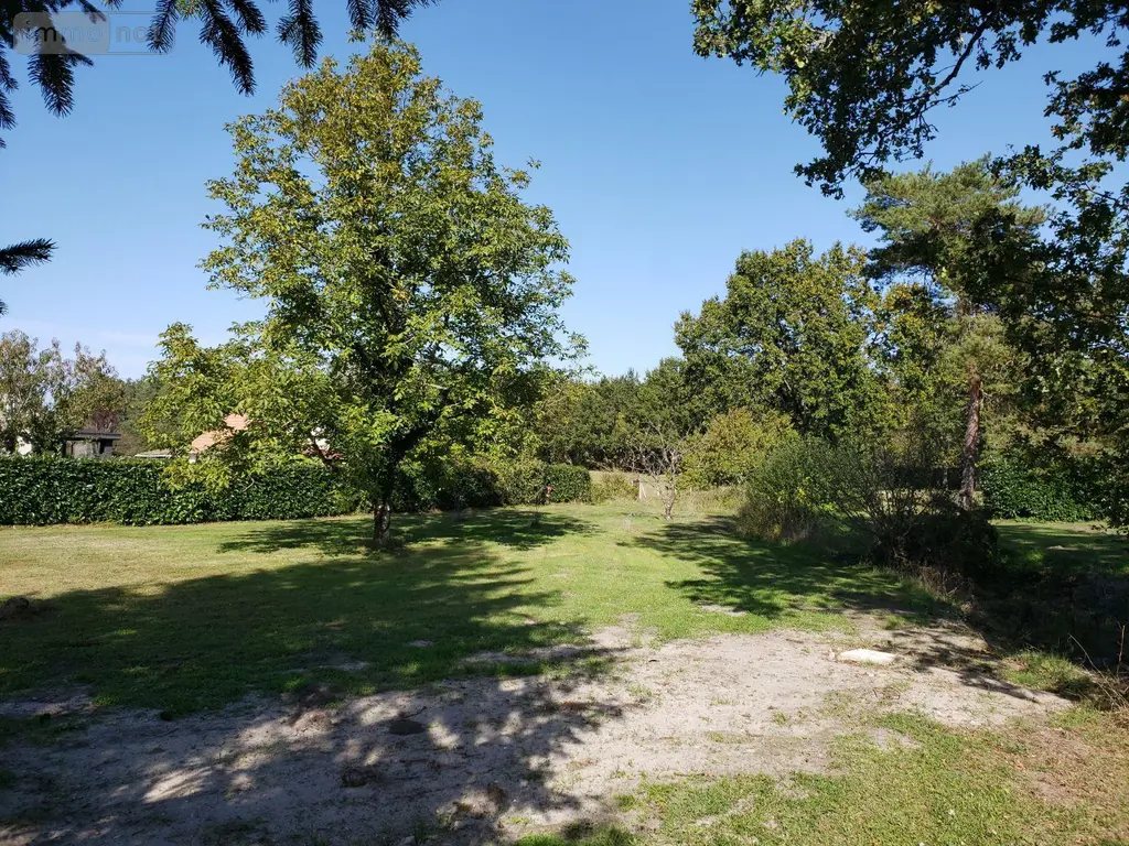 Terrain a batir a vendre Pruniers-en-Sologne 41200 Loir-et-Cher 41 970 m2 29300 euros 41036/2741 002