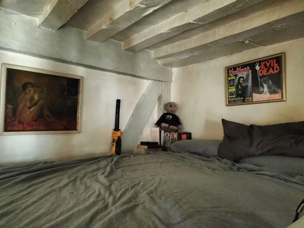 Appartement a vendre Rennes 35000 Ille-et-Vilaine 35 29 m2 2 pièces 180001 euros 53047/49 008