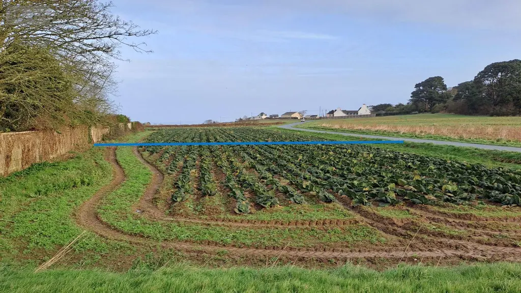 Terrain a batir a vendre Plougasnou 29630 Finistère 29 1050 m2 78000 euros MUTB 001