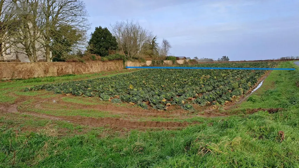 Terrain a batir a vendre Plougasnou 29630 Finistère 29 1050 m2 78000 euros MUTB 002