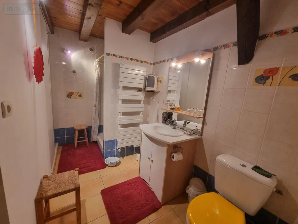 Maison a vendre Romorantin-Lanthenay 41200 Loir-et-Cher 41 148 m2 6 pièces 242420 euros 41036/2752 009