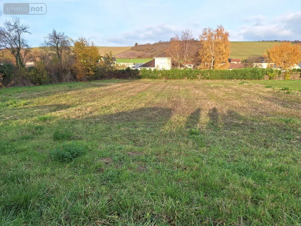 Terrain a batir a vendre Messon 10190 Aube 10 1601 m2 76000 euros 10378/1159 001