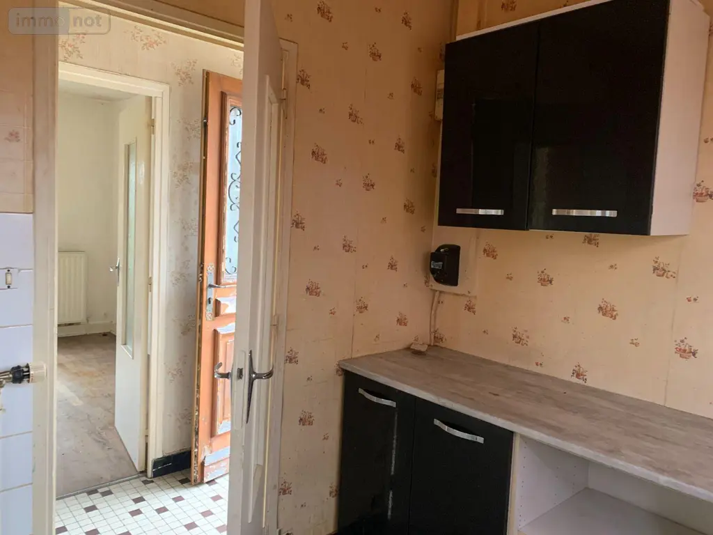Maison a vendre Pellevoisin 36180 Indre 36 54 m2 3 pièces 59500 euros 1047530 004