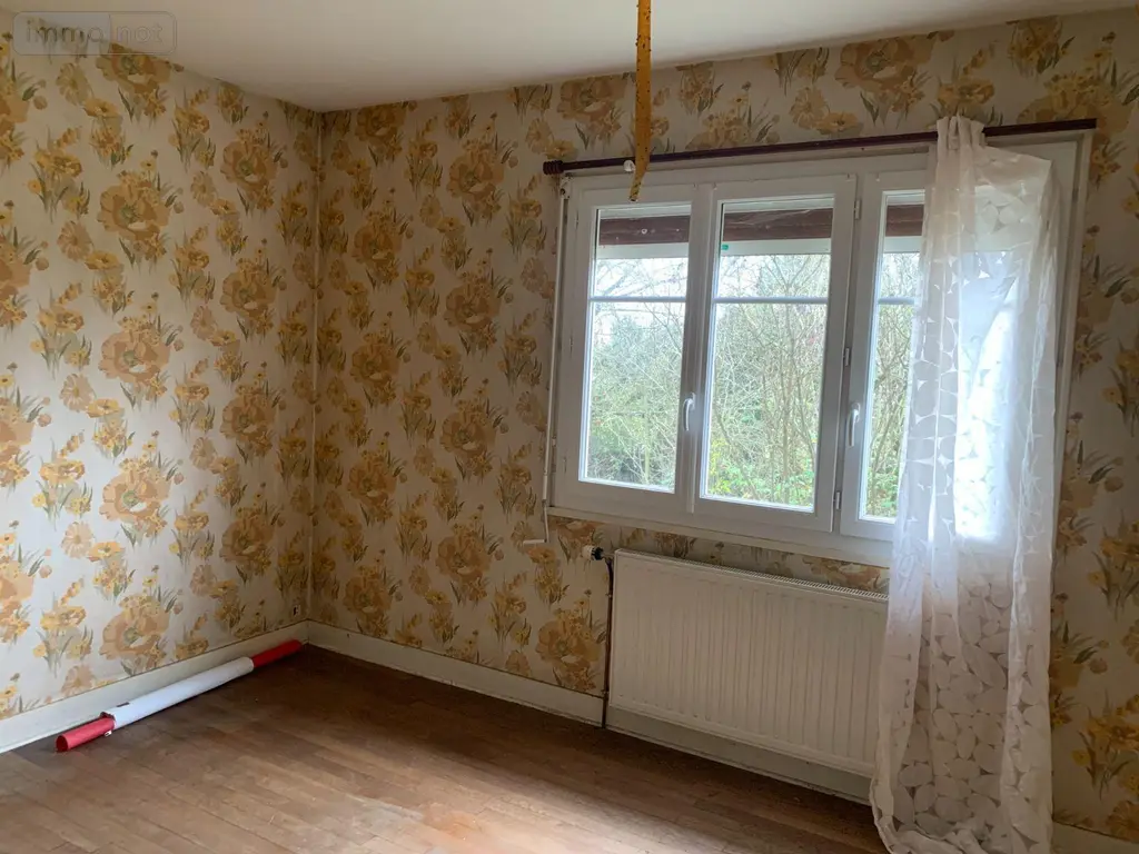 Maison a vendre Pellevoisin 36180 Indre 36 54 m2 3 pièces 59500 euros 1047530 006