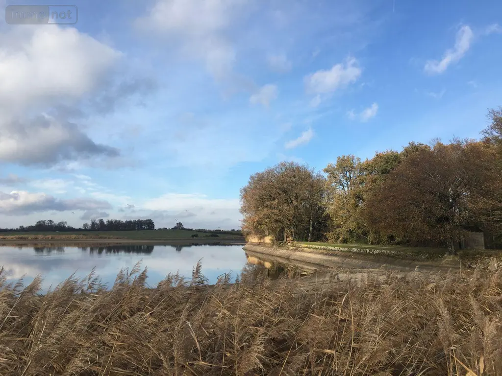 Terrains de loisirs bois etangs a vendre Lingé 36220 Indre 36 660000 euros 037/2373 008