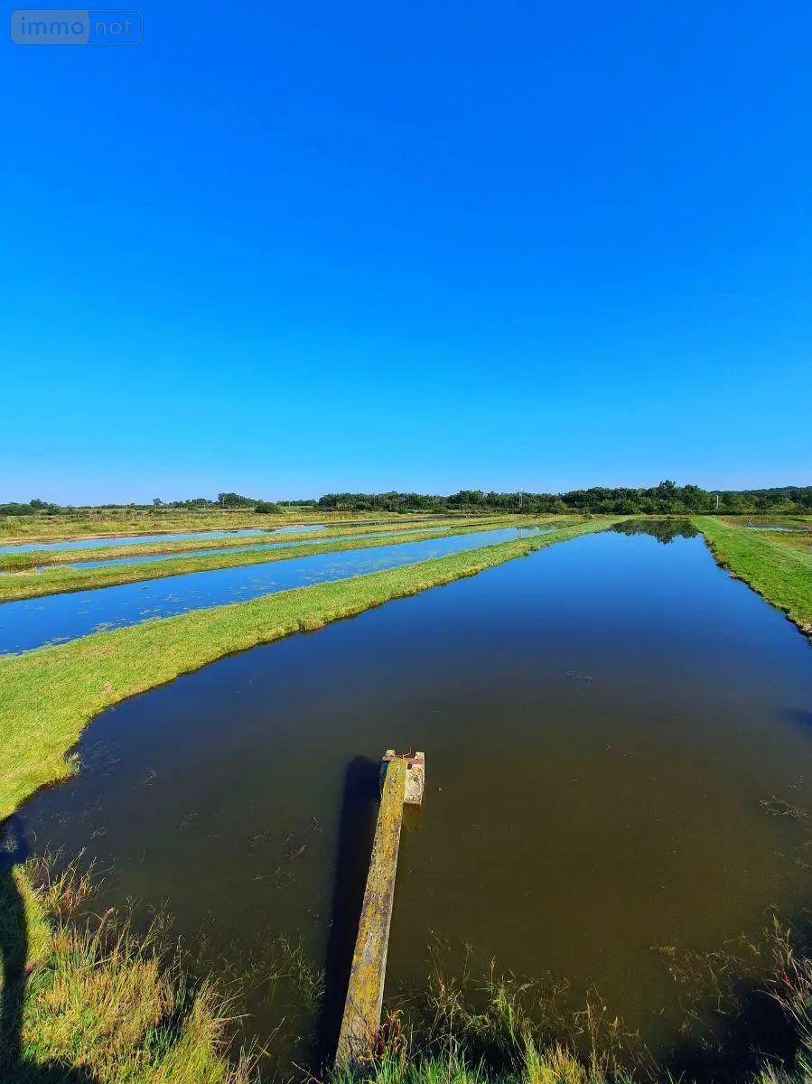 Terrains de loisirs bois etangs a vendre Lingé 36220 Indre 36 660000 euros 037/2373 004