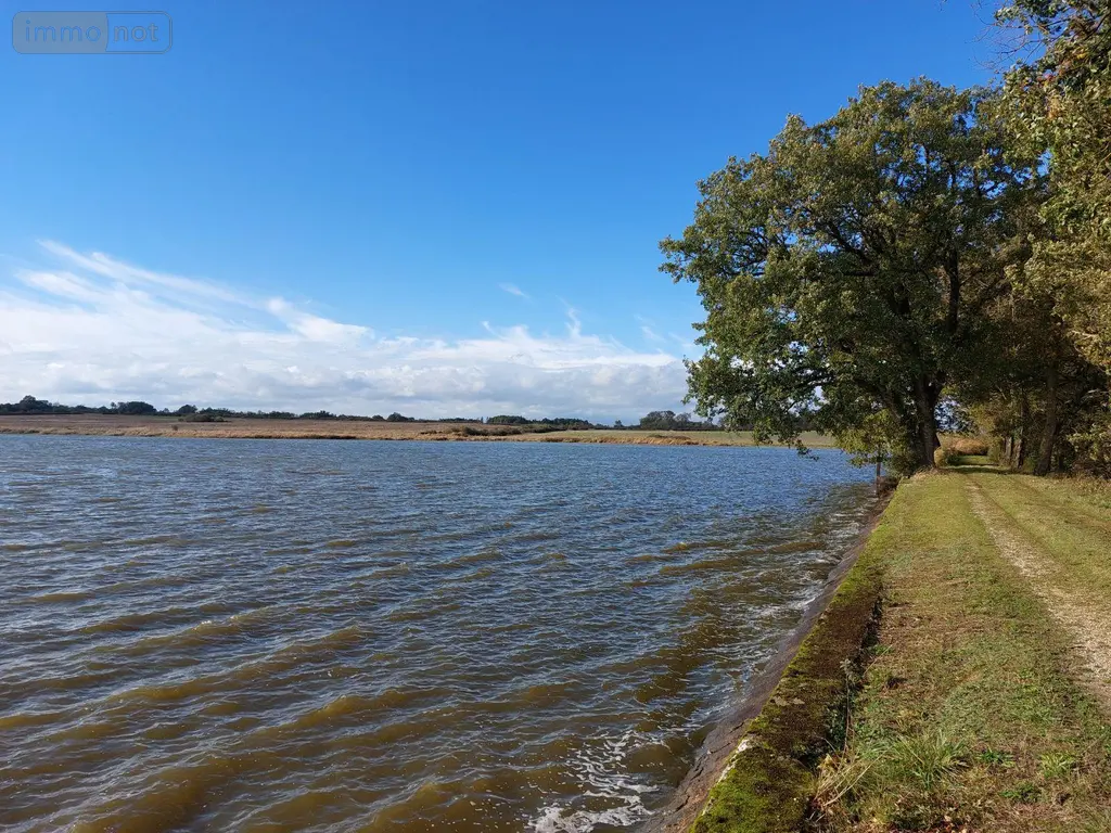Terrains de loisirs bois etangs a vendre Lingé 36220 Indre 36 660000 euros 037/2373 005