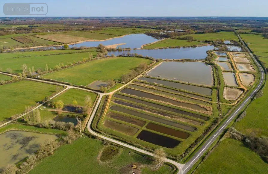 Terrains de loisirs bois etangs a vendre Lingé 36220 Indre 36 660000 euros 037/2373 002