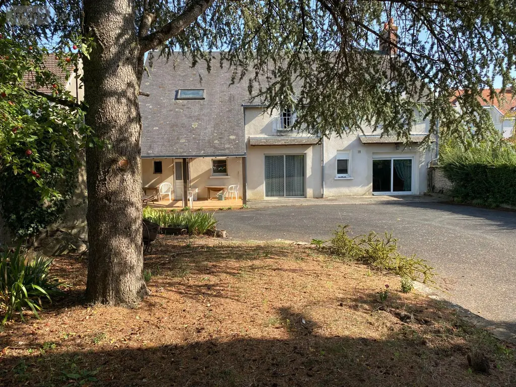 Maison a vendre Buzançais 36500 Indre 36 185 m2 5 pièces 163000 euros 1047872 002