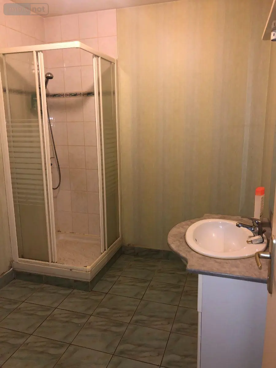 Immeuble de rapport a vendre Issoudun 36100 Indre 36 162 m2 10 pièces 158100 euros 11813/1307 010