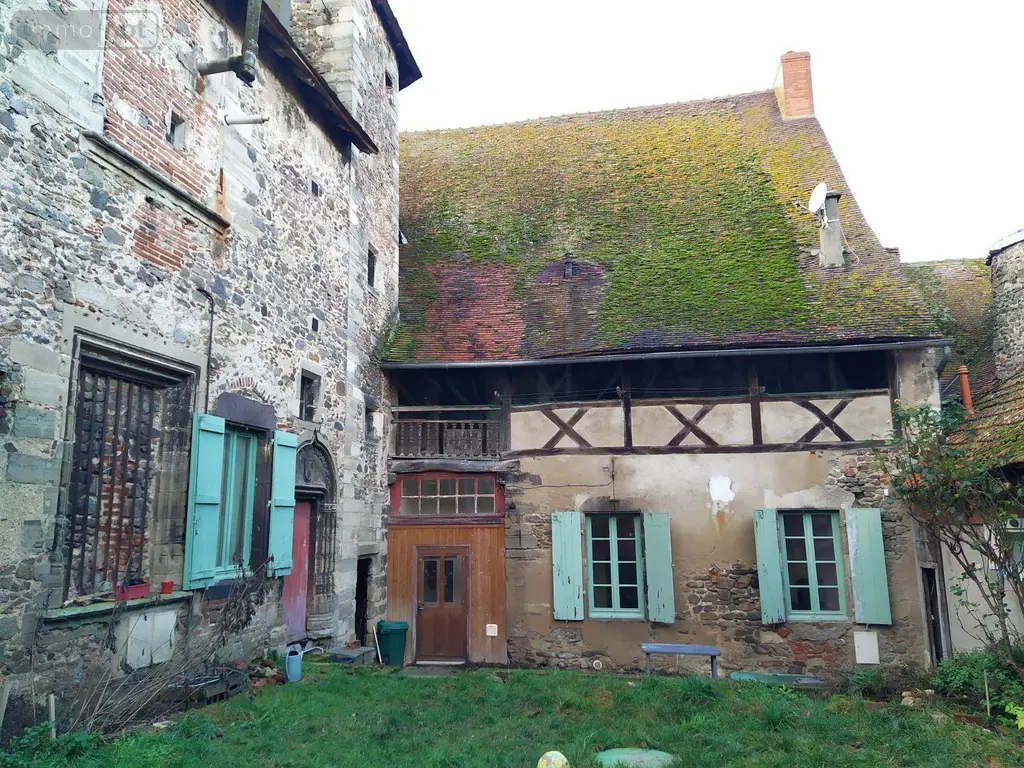 Maison a vendre Chantelle 03140 Allier 03 300 m2 12 pièces 149000 euros 13352/362 002