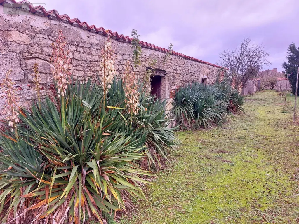 Propriete a vendre Chambon 17290 Charente-Maritime 17 243 m2 8 pièces 400000 euros 524 018