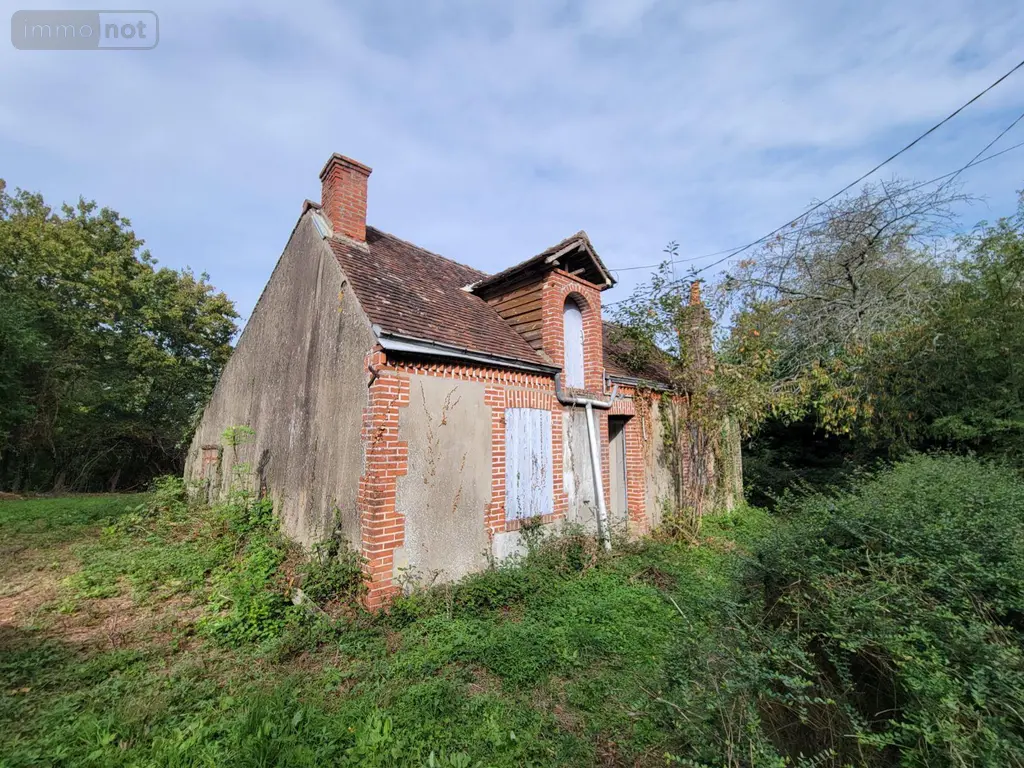 Maison a vendre Fontaine-Raoul 41270 Loir-et-Cher 41 70 m2 55000 euros JS/741 001